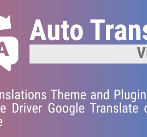 vig-auto-translations
