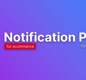 Ecommerce Notification